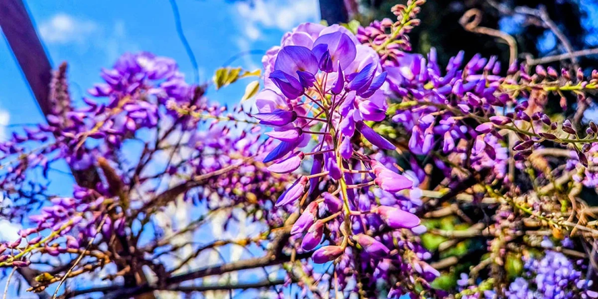 Αλλαγή στο σκηνικό του καιρού αναμένεται τις επόμενες ημέρες, με τη σταδιακή επικράτηση αστάθειας και φθινοπωρινών συνθηκών