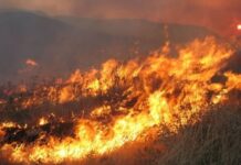 Πυρκαγιά σε αγροτοδασική έκταση στην Καλλιθέα Φαρσάλων – Ισχυρή κινητοποίηση επίγειων και εναέριων μέσων